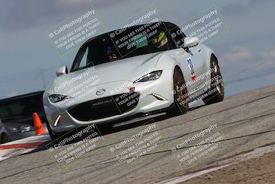 media/Mar-31-2024-Speed Ventures (Sun) [[a3b2bf813d]]/Purple/Session 2 (Grapevine)/